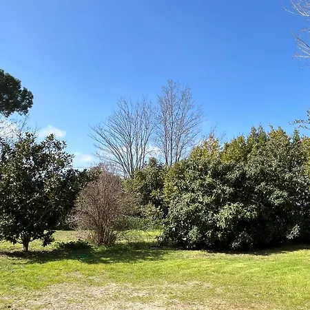 Sulla Strada Del Mare Apartment