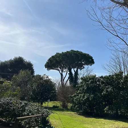 Sulla Strada Del Mare דירה